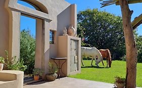 Akasha Mountain Retreat
